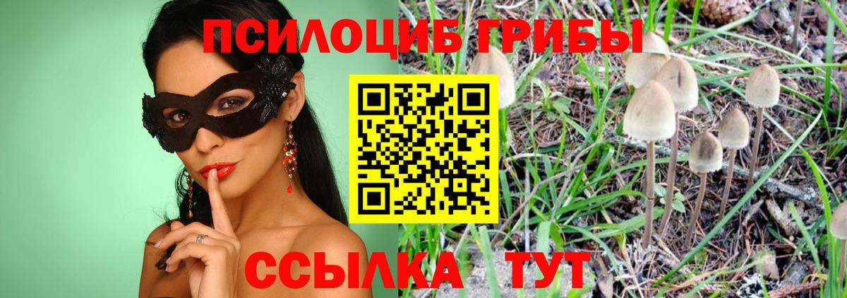 Псилоцибиновые грибы Magic Shrooms  Вход с VPN  Фролово 
